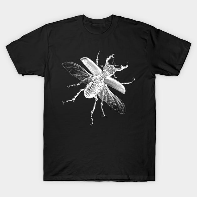 Vintage Stag beetle (Lucanus cervus) T-Shirt by Beltschazar